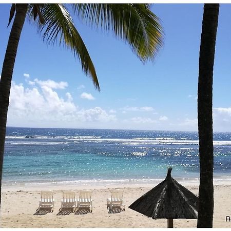 Studio Village Vacances,Vue Mer, Plage A 30M ,Wifi A Sainte Anne Экстерьер фото