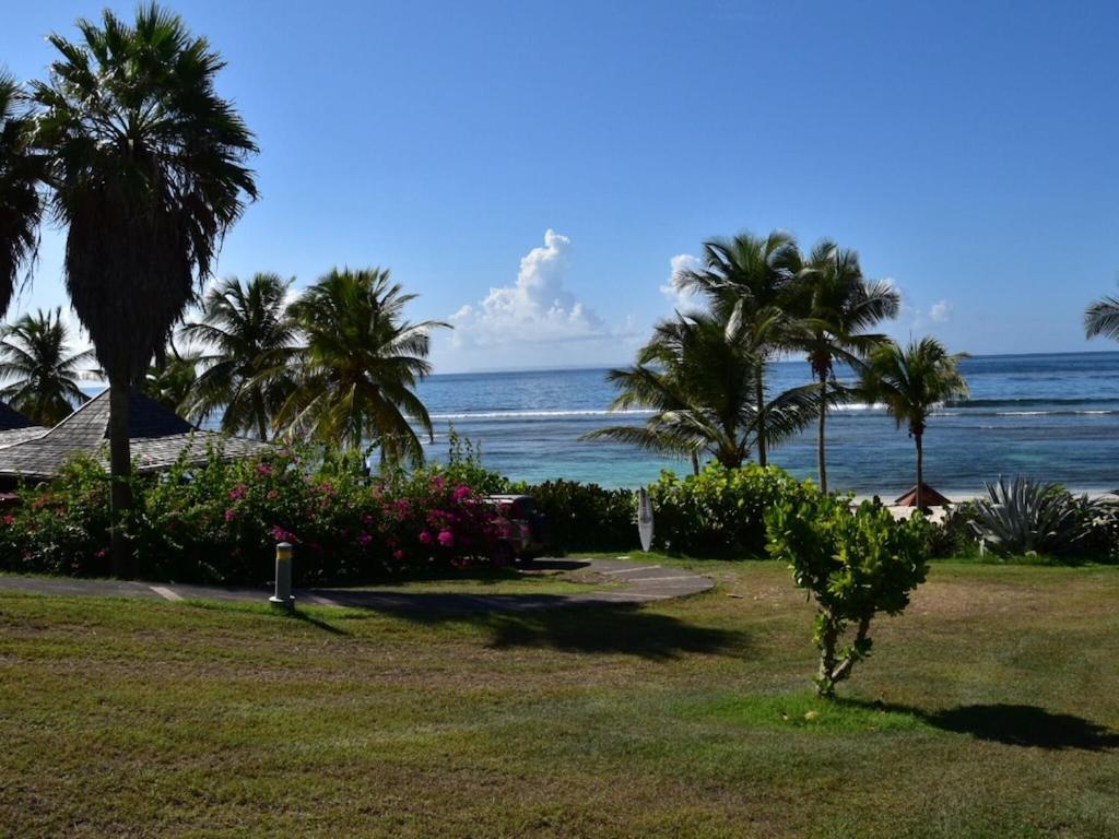 Studio Village Vacances,Vue Mer, Plage A 30M ,Wifi A Sainte Anne Экстерьер фото