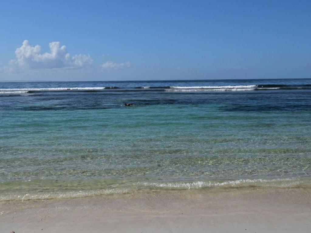 Studio Village Vacances,Vue Mer, Plage A 30M ,Wifi A Sainte Anne Экстерьер фото