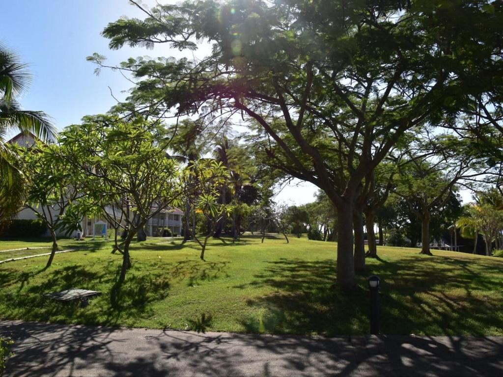 Studio Village Vacances,Vue Mer, Plage A 30M ,Wifi A Sainte Anne Экстерьер фото