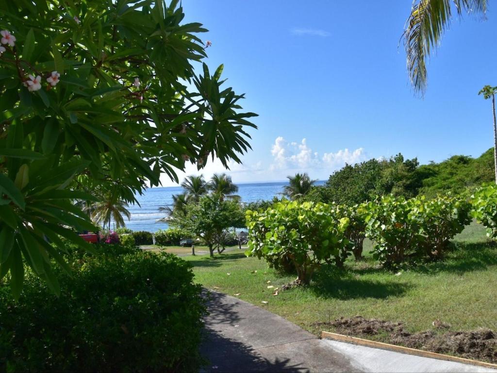 Studio Village Vacances,Vue Mer, Plage A 30M ,Wifi A Sainte Anne Экстерьер фото