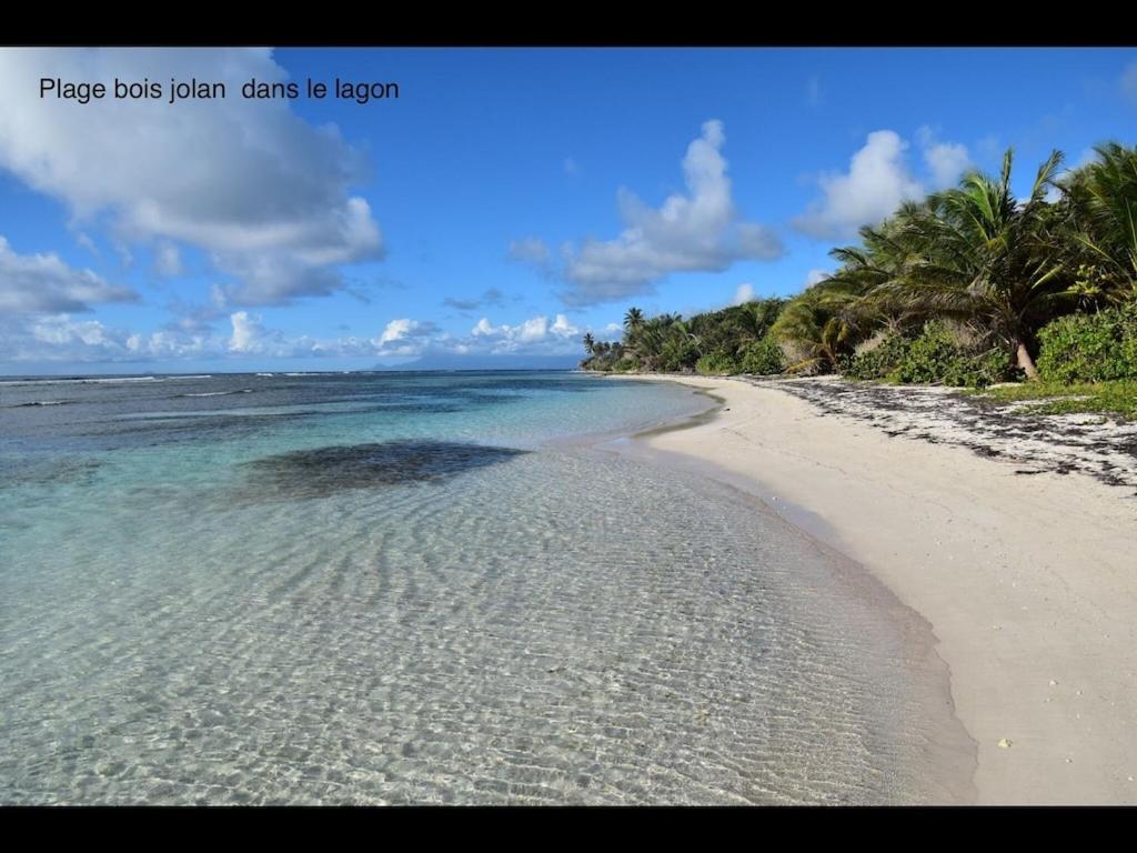 Studio Village Vacances,Vue Mer, Plage A 30M ,Wifi A Sainte Anne Экстерьер фото
