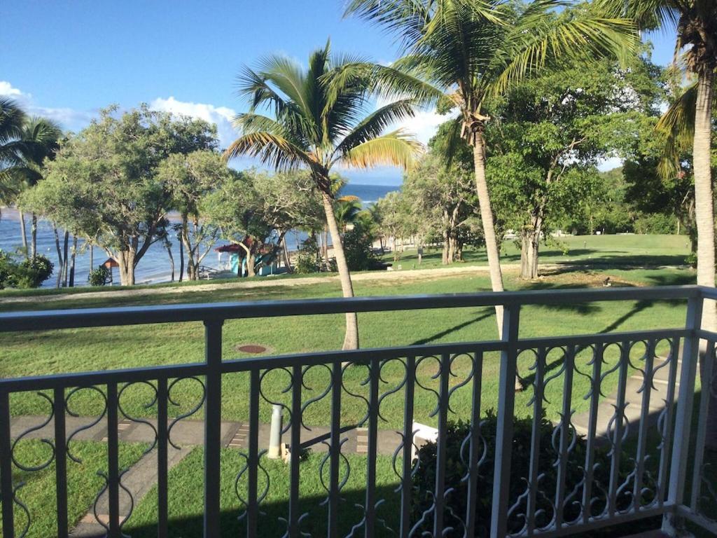 Studio Village Vacances,Vue Mer, Plage A 30M ,Wifi A Sainte Anne Экстерьер фото